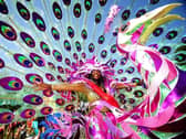 Leeds West Indian Carnival. Picture: Simon Hulme.