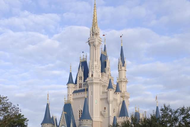 Disney has postponed the reopening of two theme parks until it receives guidelines from the state government in California.PA Photo/The Walt Disney Company