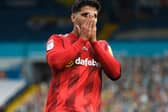 POCKET WATCH - Aleksandar Mitrovic briefly escaped Ben White's pocket to land an elbow, joked Angus Kinnear in his Leeds United programme notes. (Pic: Getty)