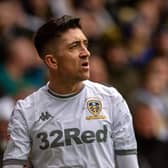 ON THE BENCH: Pablo Hernandez. Picture by Bruce Rollinson.