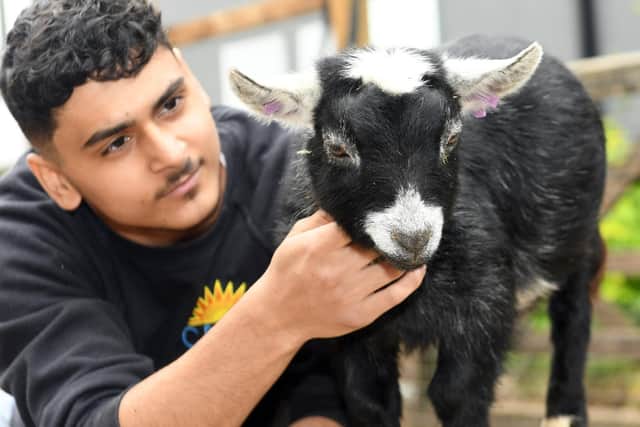 Patrick Hudi with Oreo, a baby goat. Picture: Gary Longbottom