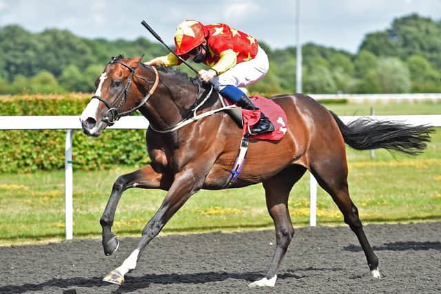 Cognac, under the stewardship of William Buick, winning The Unibet Casino Deposit £10 Get £40 Bonus Handicap Stakes at Kempton in June. Picture: Hugh Routledge/Pool via Getty Images.