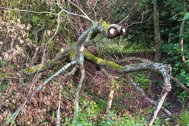E-tree, come home! PIC: SWNS