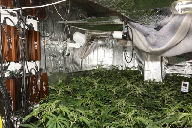 A cannabis farm discovered by West Yorkshire Police.