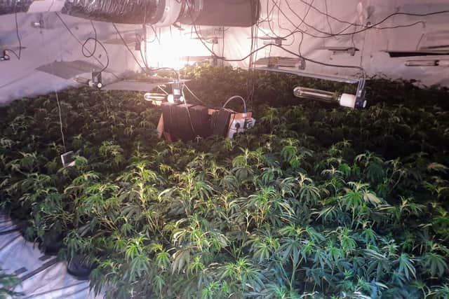 The cannabis factory spanned three floors (Photo: WYP)