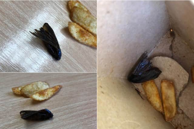 The man claims he found a deep fried moth at the bottom of a chip box