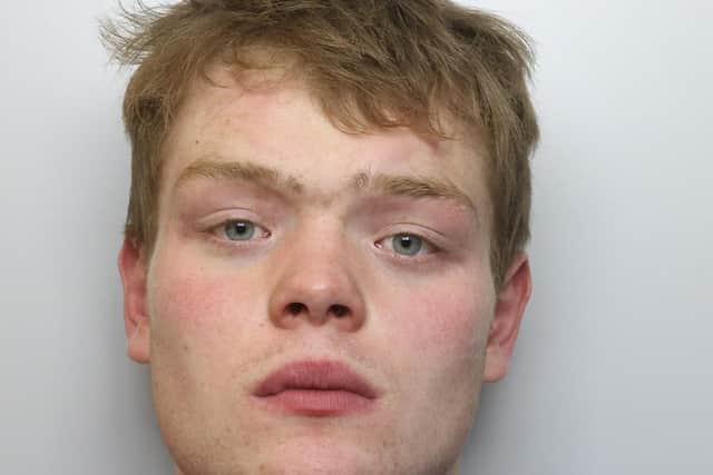 Burglar Thomas Wilson was sent to a young offender institution for 30 months over attack on police officer.