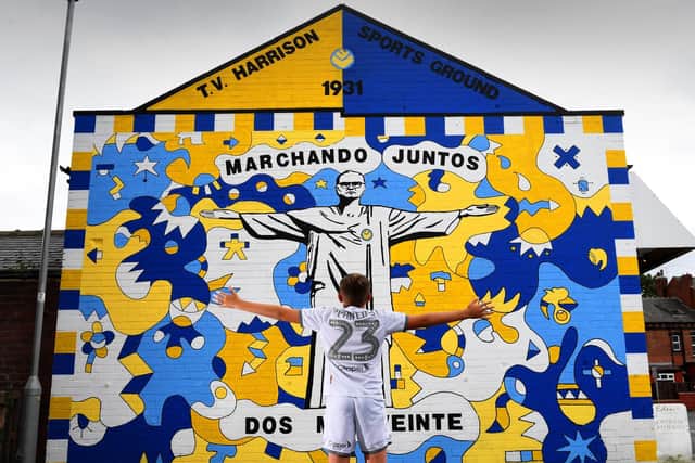 Kailen Hatfield. aged 12, pictured by the mural. Picture by Simon Hulme