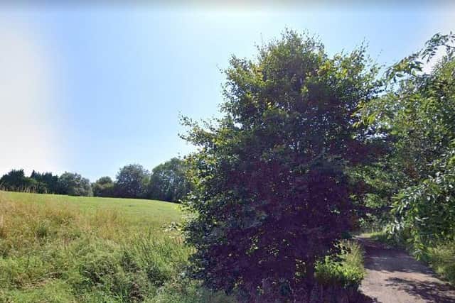 The green space in Mickefield where the teens were robbed (photo: Google).
