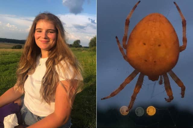 Florrie said she was shocked after spotting the huge orange spider