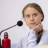 Climate change activists like Greta Thunberg have been inspiring people - and lifestyle changes enforced by lockdown have made a positive impact on the environment. (Photo by Pablo Blazquez Dominguez/Getty Images)