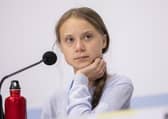 Climate change activists like Greta Thunberg have been inspiring people - and lifestyle changes enforced by lockdown have made a positive impact on the environment. (Photo by Pablo Blazquez Dominguez/Getty Images)