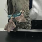 Animals can be seriously injured by the elastic straps of disposable face masks