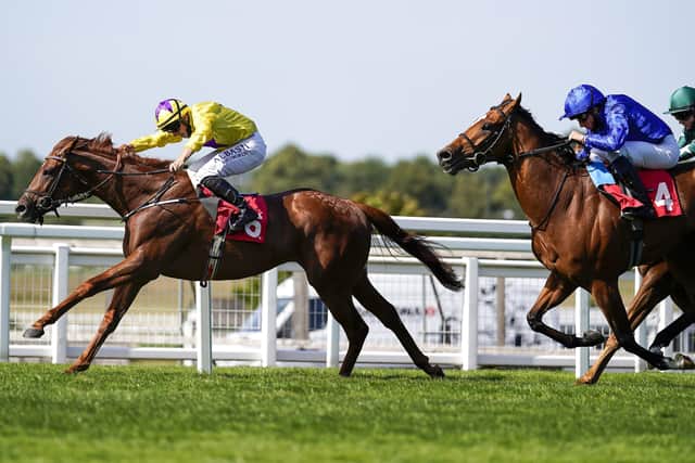 Tom Marquand riding Star of Wins to victory in last month's The Cobham Handicap at Sandown Park. Picture: Alan Crowhurst/Getty Images.