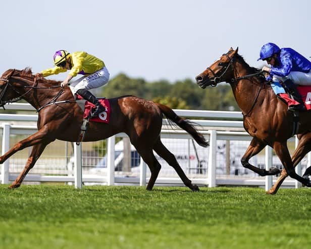 Tom Marquand riding Star of Wins to victory in last month's The Cobham Handicap at Sandown Park. Picture: Alan Crowhurst/Getty Images.