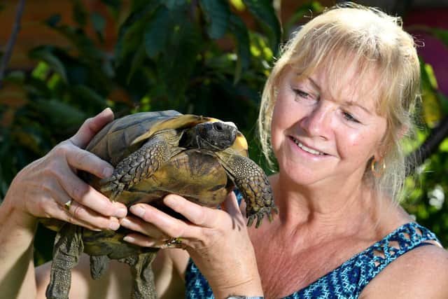 Fredaricka West pictured with her tortoise Freda, who is around 120 years old and still going strong.