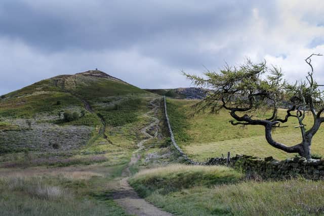 How should council services be delivered in North Yorkshire in the future?