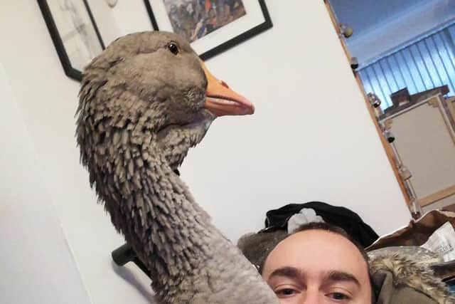 Meet the Armley man who has spent lockdown with two giant geese and even takes them to the pub