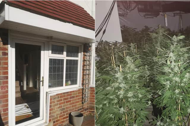The cannabis farm was found in a house in Moortown (photo: West Yorkshire Police).