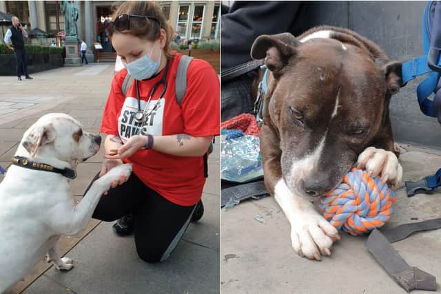 The Street Paws team during an outreach visit