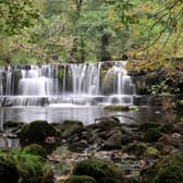 Lofthouse is a tiny village in the Nidderdale area of North Yorkshire and boasts the delightful Nidd Falls. Drive: 1hr 15min