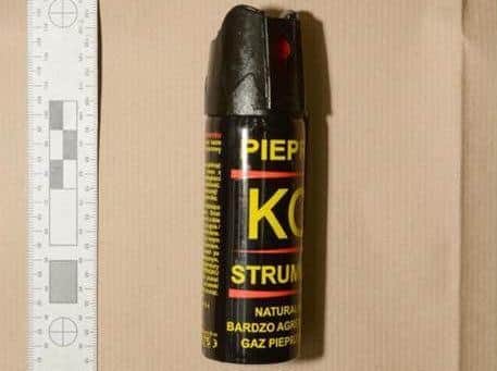 Incapacitant spray seized by police during arrest of Hassan Jalilian