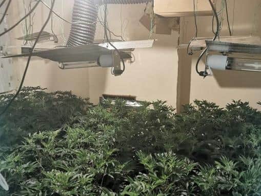 Two cannabis farms were found on a street in Harehills (Photo: WYP)