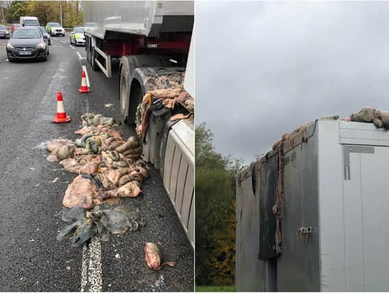 Drivers have been advised to keep their windows closed after a meat spillage on the M62. Photo: WYP Roads Policing Unit