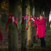 Susan Watson ties ribbons to trees on the Leeds Outer Ring Road at Horsforth, planted  to commerate each person  killed in WWII from the village as part of Rembrance Sunday. . Picture Tony Johnson