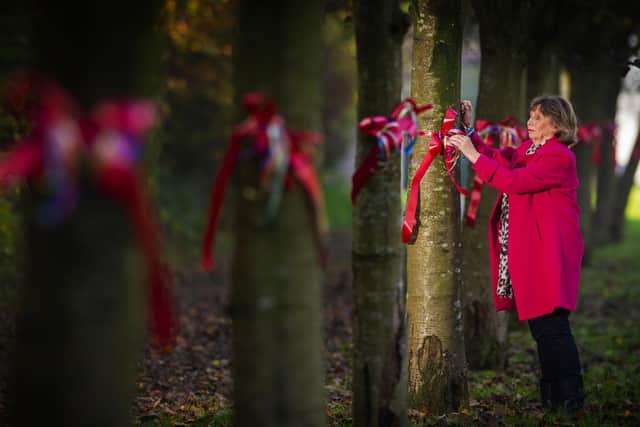 Susan Watson ties ribbons to trees on the Leeds Outer Ring Road at Horsforth, planted to commerate each person killed in WWII from the village as part of Rembrance Sunday. . Picture Tony Johnson