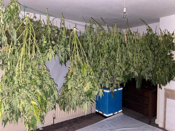 A cannabis farm has been found by police in a house in Roundhay (photo: West Yorkshire Police)