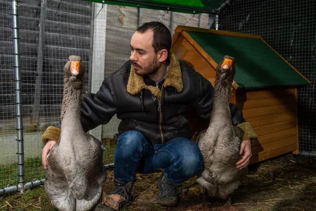 Sven Kirby, 34, bought the birds for £40 each in June and, since then, has hand reared them to the point they freely waddle around his house wearing nappies. 
SWNS