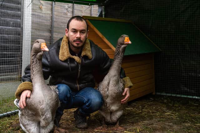 Sven Kirby, 34, bought the birds for 40 each in June and, since then, has hand reared them to the point they freely waddle around his house wearing nappies.
SWNS
