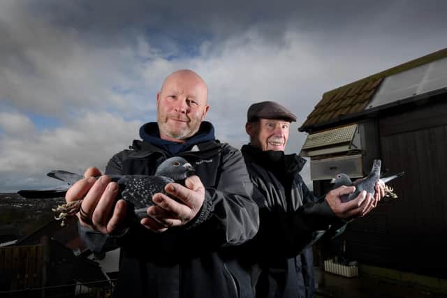 Pigeon fancier Mark Oliver and his dad Graham with his Pigeons at his home at Yeadon, Leeds .Picture by Simon Hulme