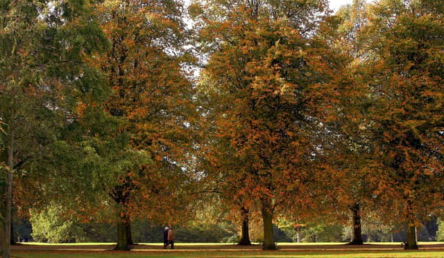 Walkers enjoy a stroll in Calderstones Park, Liverpool, as the leaves begin to change with the arrival of Autumn.