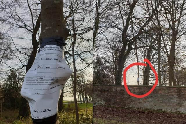 The planning notice was stuck to a tree behind a wall in Temple Newsam Park
