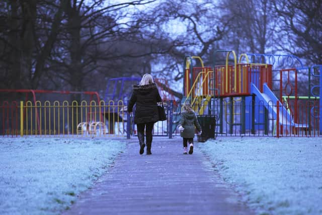 Frost in Burley Park (photo: PA).