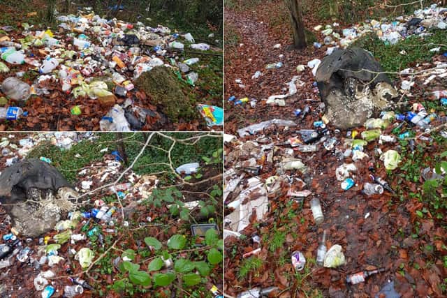Robyn Howarth posted these shocking images taken at Ramshead woods today on social media.