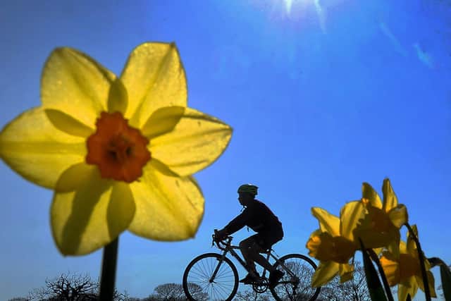 A cyclist takes their daily exercise in Roundhay Park back in March. Picture: Simon Hulme