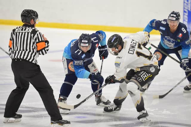 Sheffield Steeldogs and Milton Keynes Lightning put on a series of games through the Streaming Series staged along with Swindon Wildcats in November. Picture: Dean Woolley.