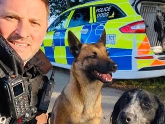 PD Macy and PD Molly with their handler (photo: Twitter account)