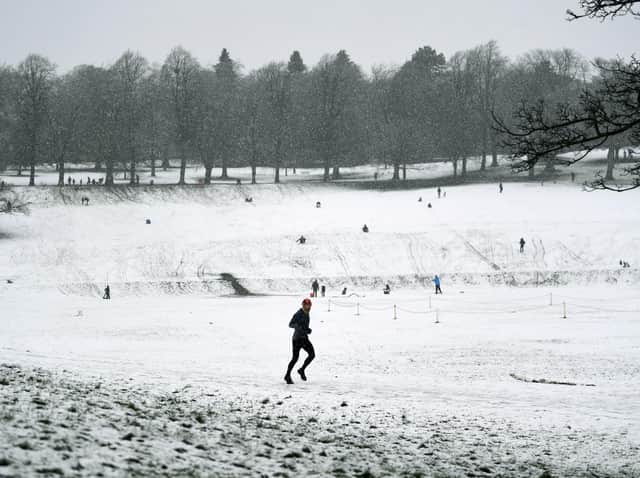 Snow at Roundhay Park