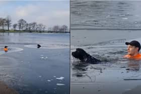 Rex Jarvis saves the dog from the lake in Pontefract Park (photo and video: Paula Town).