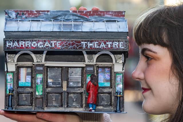 Miss Mawhinney made the model for the HT Together fundraising campaign. Picture: James Hardisty.