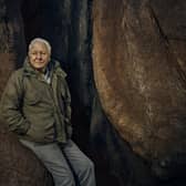 Sir David Attenborough in The Green Planet. Photographer: Sam Barker for BBC.