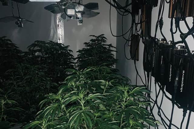 Officers found the cannabis farm at a house in Beeston on Sunday, January 17. Photo: West Yorkshire Police Leeds South.