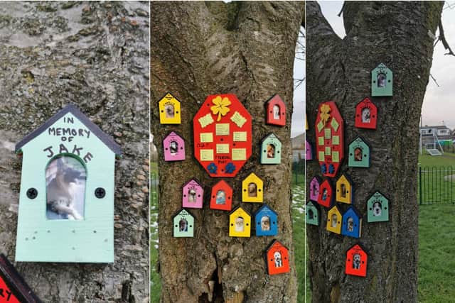 The memorial plaques to departed doggies put up in a Yorkshire park