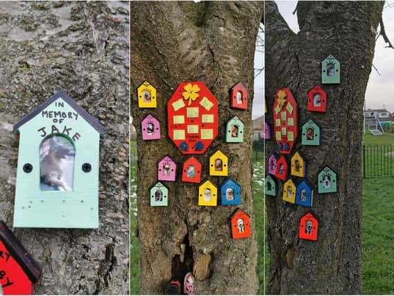 The memorial plaques to departed doggies put up in a Yorkshire park