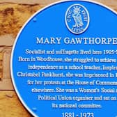 The blue plaque dedicated to socialist and suffragette Mary Gawthorpe. PIC: Leeds Civic Trust