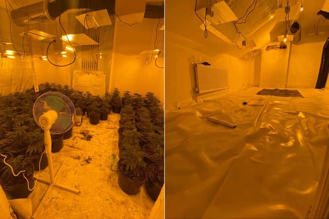 A cannabis farm was discovered after a landlord stopped a police officer in the street to report it. Photo: West Yorkshire Police